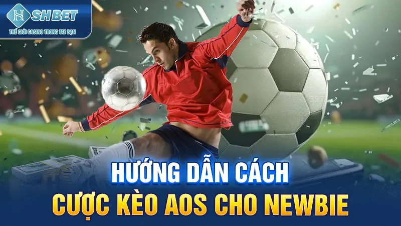 Hướng dẫn cách cược kèo AOS cho Newbie&nbsp;